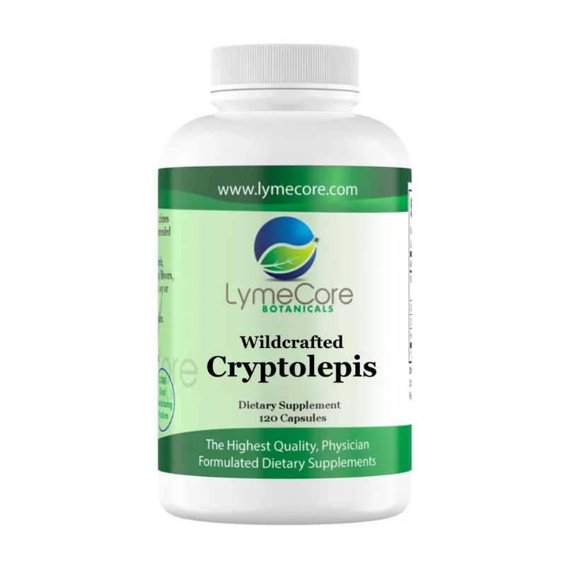 Cryptolepis Capsules - Wildcrafted