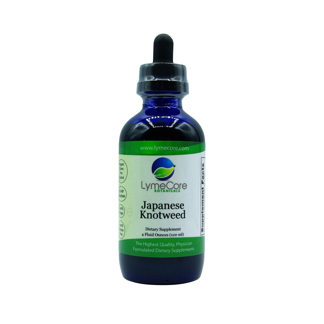 Japanese Knotweed Tincture